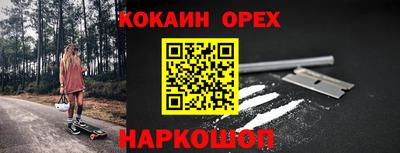прущие грибы Кандалакша