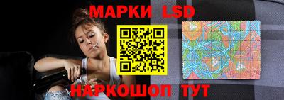 прущие грибы Кандалакша