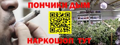 прущие грибы Кандалакша