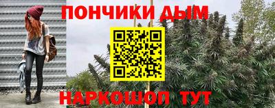 прущие грибы Кандалакша