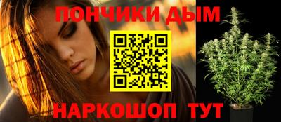 прущие грибы Кандалакша