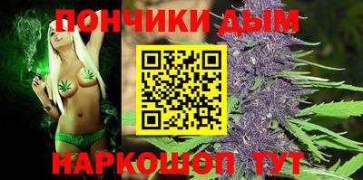 дурь Камышлов