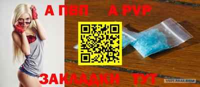прущие грибы Кандалакша