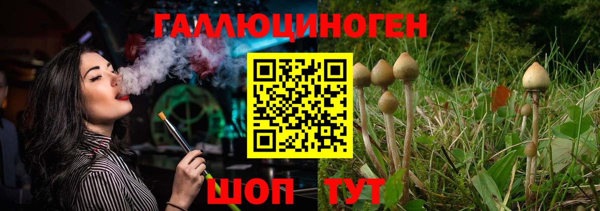 Галлюциногенные грибы GOLDEN TEACHER Южноуральск